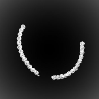 Boucles d'oreilles Surfin' USA en broderie d'argent Boucles d'oreilles Surfin' USA en broderie d'argent