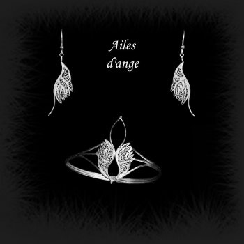 Duo Ailes d'ange en broderie d'argent Duo Ailes d'ange en broderie d'argent